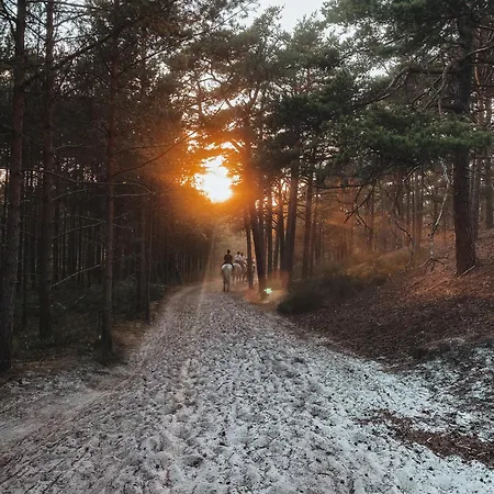 Bursztynowa-przystan *